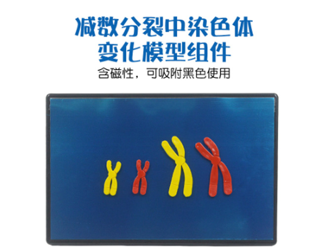 33305Ⱦɫ仯ģ